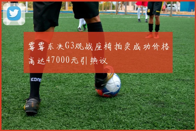 霉霉东决G3观战座椅拍卖成功价格高达47000元引热议