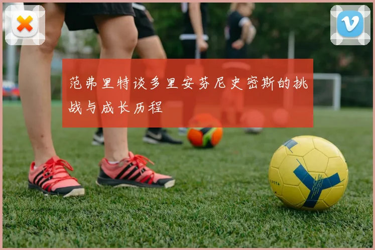 范弗里特谈多里安芬尼史密斯的挑战与成长历程