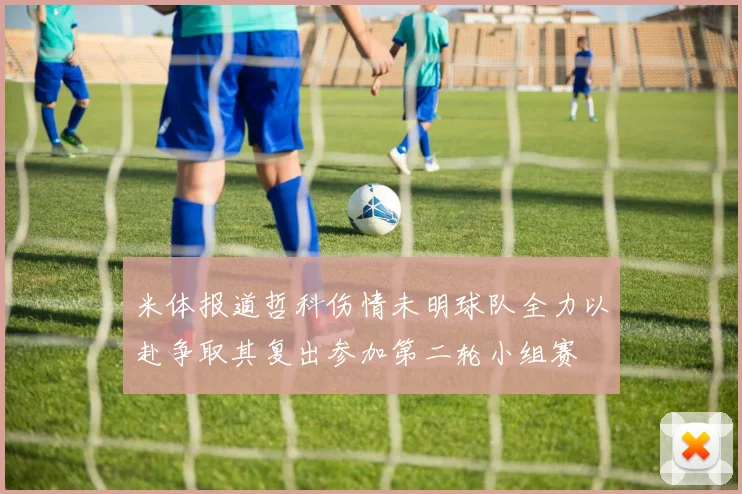 米体报道哲科伤情未明球队全力以赴争取其复出参加第二轮小组赛