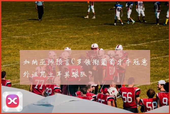 加纳巫师预言C罗领衔葡萄牙夺冠意外诅咒土耳其球队